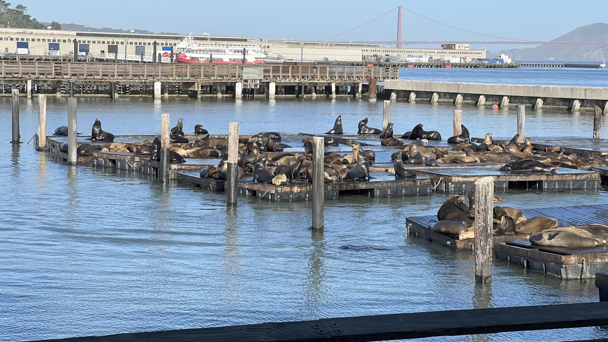 Location-based content sharing