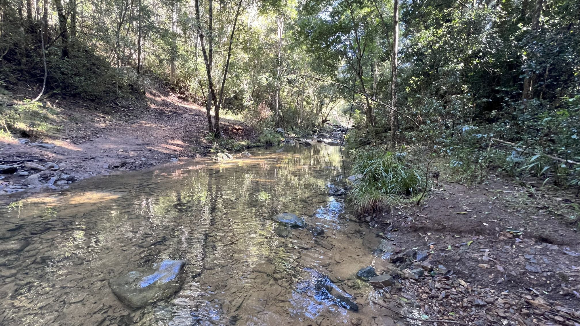 Authentic moment sharing